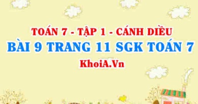 Bài 9 trang 11 SGK Toán 7 tập 1 Cánh Diều